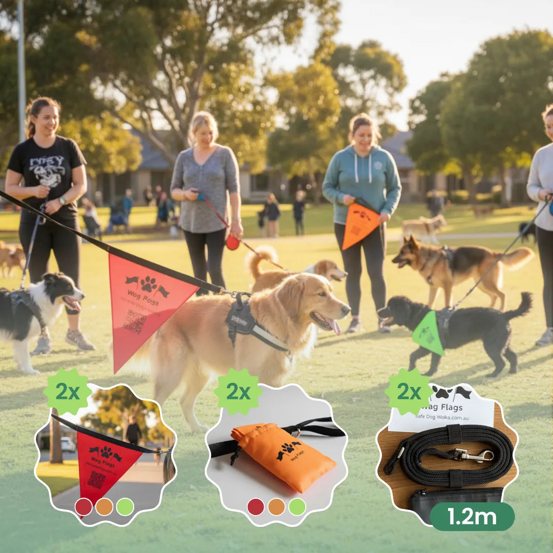 How to Tell Other Dog Walkers Your Dog Needs Space Without Saying a Word Using Visual Communication Signals