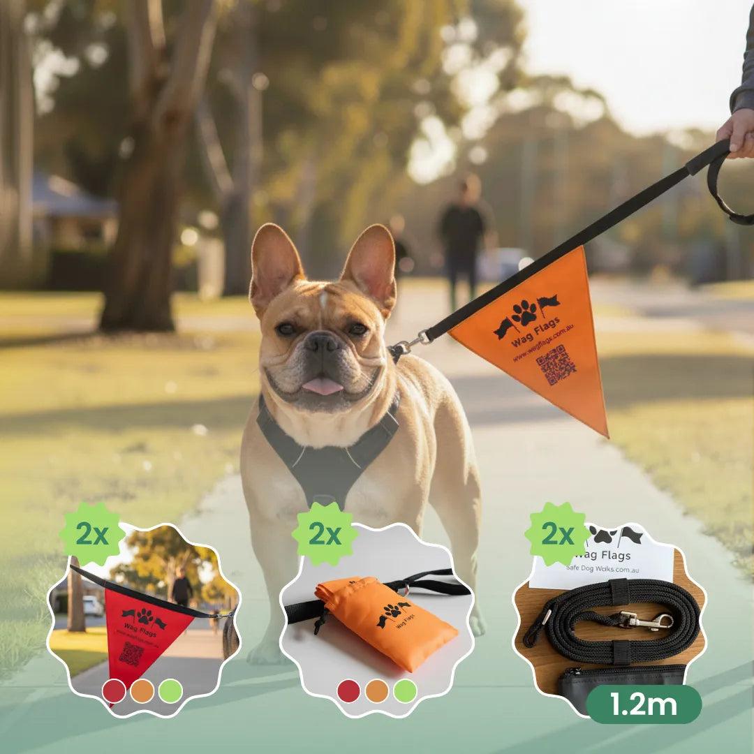 The Dog Walking Colour System Explained: What Each Wag Flag Colour Means