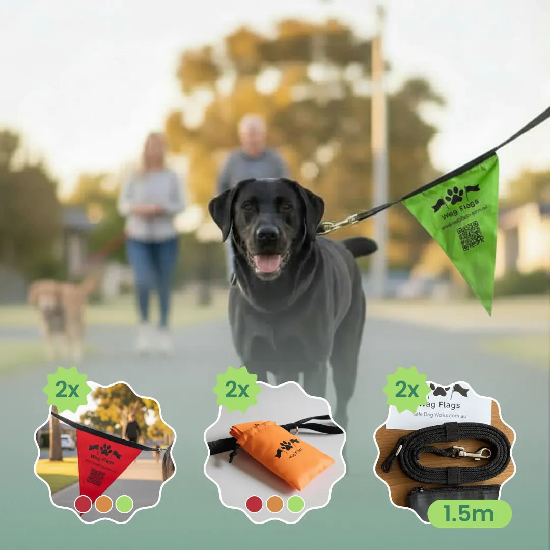 What Is a Reactive Dog Flag? The Essential Safety Signal Every Dog Owner Needs