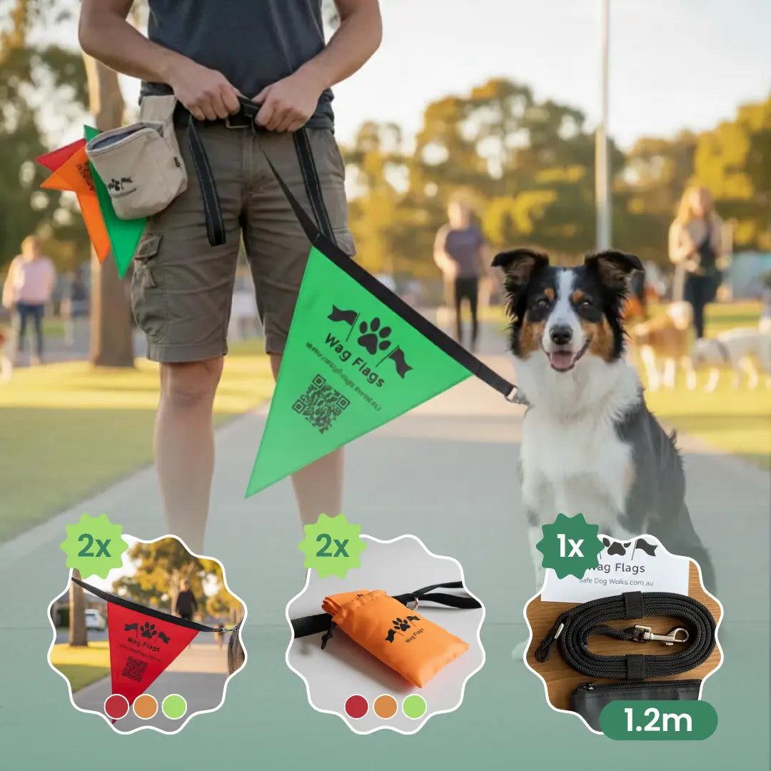 Dog Leash Flags: The Essential Pet Visibility Accessories Enhancing Safety on Every Walk