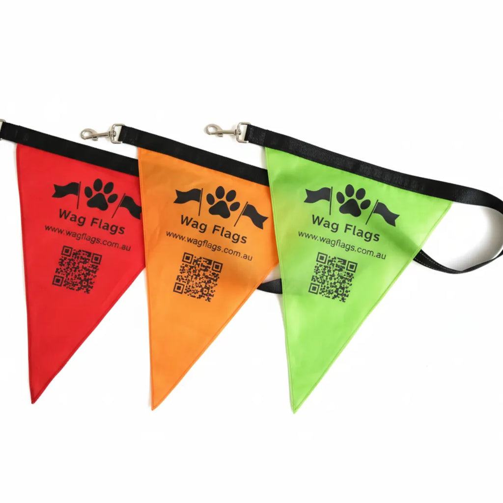 Wag Flag Starter Set