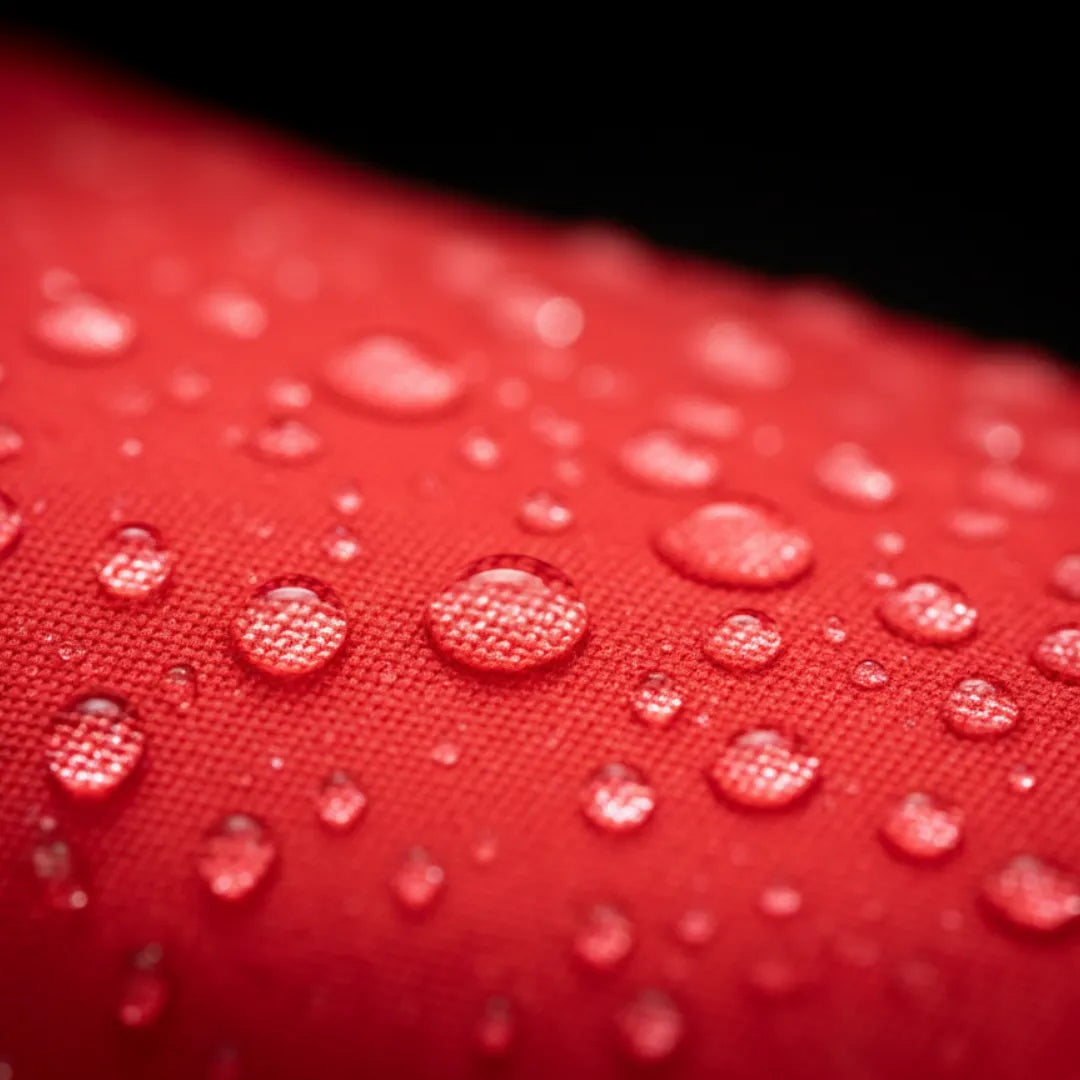 Wag Flag Starter Set