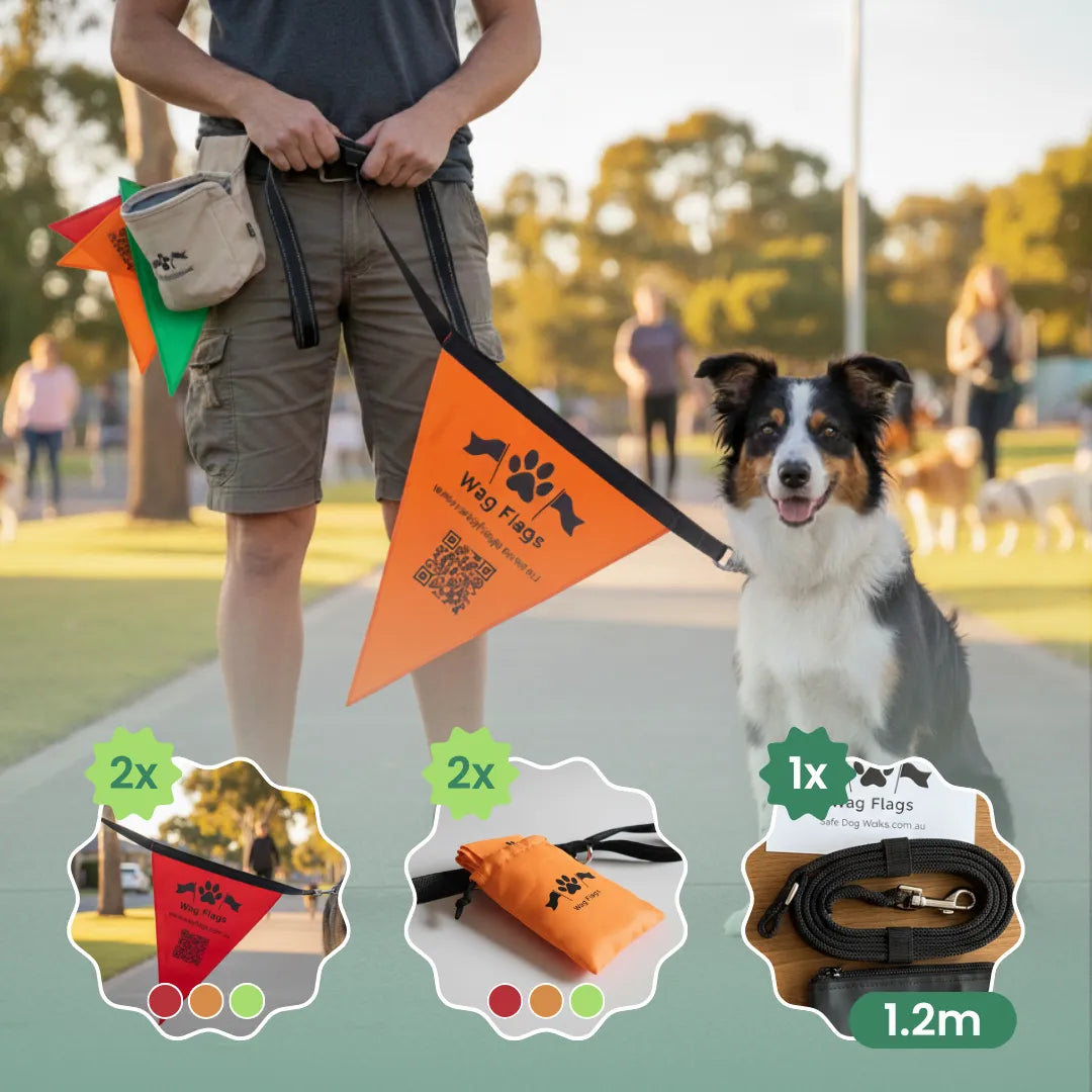 Wag Flag Dual Set