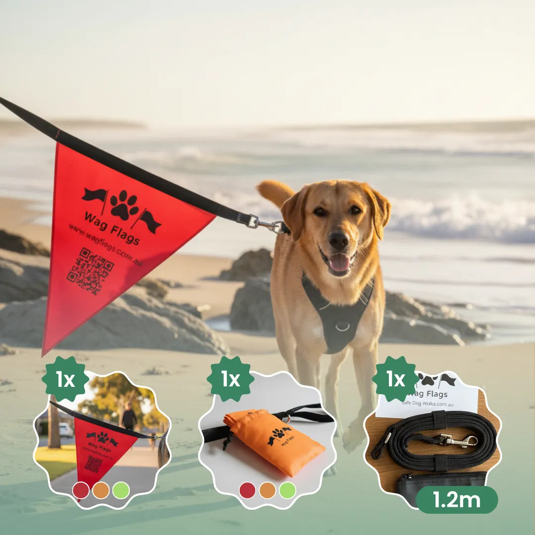 Wag Flags | Safe Dog Walks Made Easy | Dog Walking Safety System