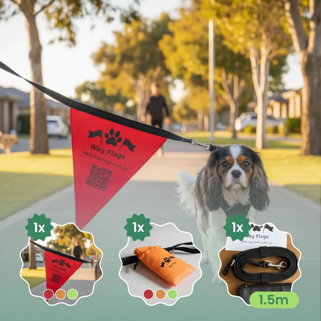 Wag Flag Starter Set